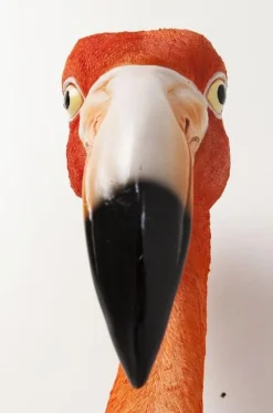 Dekoracje Ścienne*KARE Design Dekoracja ścienna Flamingo Road 27x72 Cm