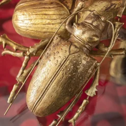 Dekoracje Ścienne*KARE Design Dekoracja ścienna Longicorn Beetle 15x27 Cm Złota