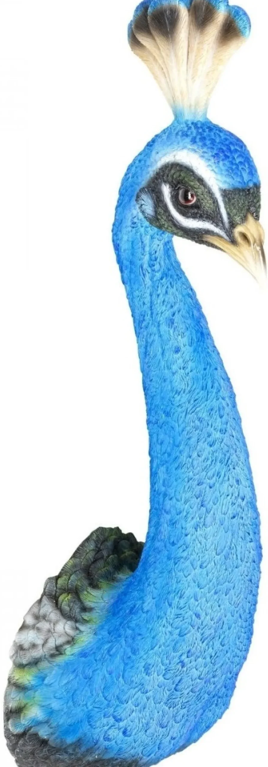 Dekoracje Ścienne*KARE Design Dekoracja ścienna Peacock 16x68 Cm Niebieska