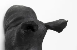 Dekoracje Ścienne*KARE Design Dekoracja ścienna Rhino Head Antique 43x51 Cm Czarna