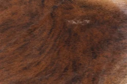 Dywany*KARE Design Dywan Hide 190x150 Cm Brązowo-biały