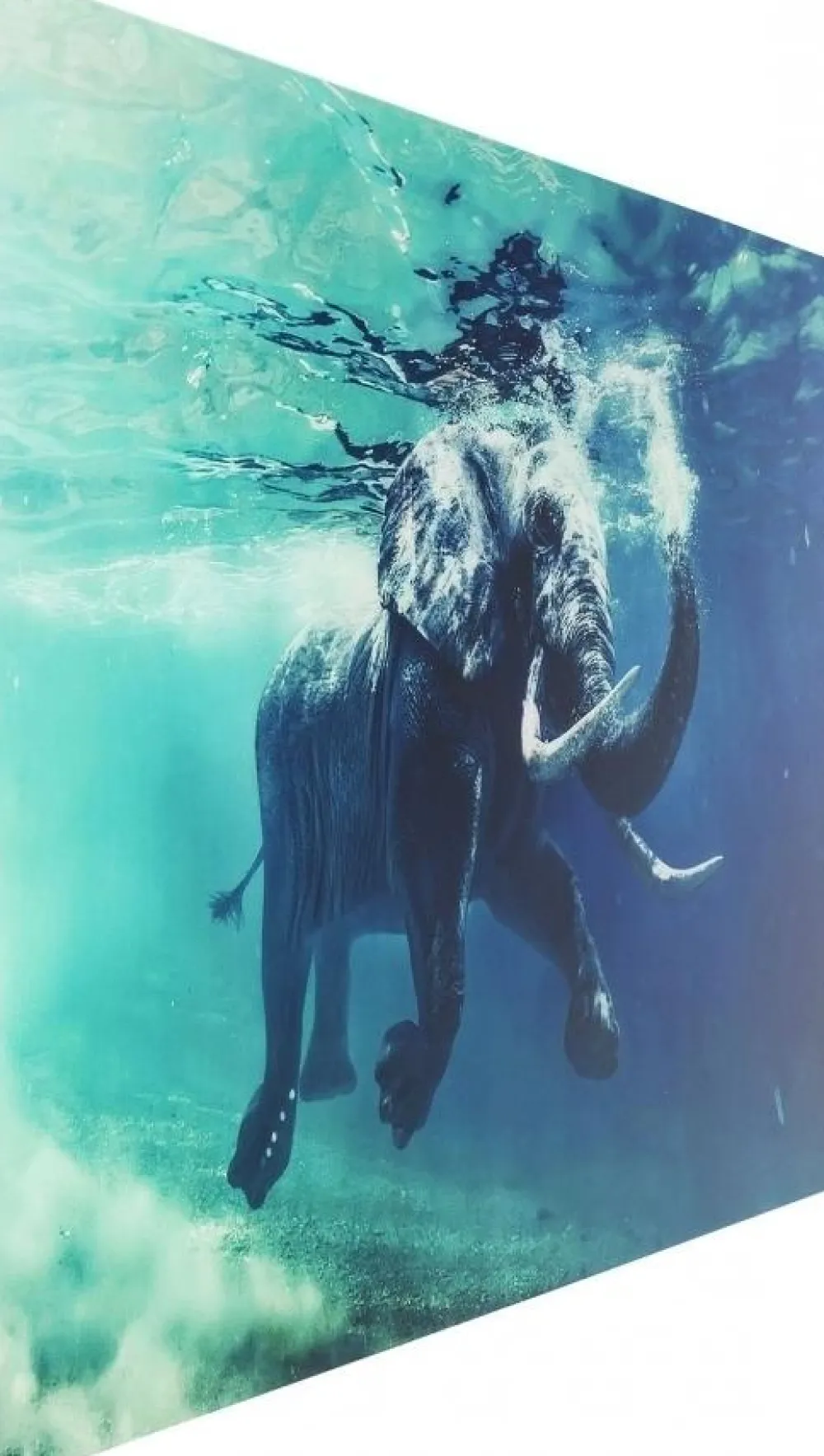 Obrazy*KARE Design Obraz Glass Swimming Elephant 180x120 Cm Kolorowy