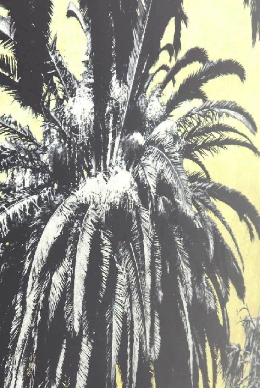 Obrazy*KARE Design Obraz Metallic Palms 180x120 Cm