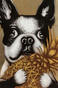 Obrazy*KARE Design Obraz Touched Dog With Pineapple 80x80 Cm