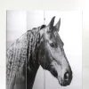 Parawany*KARE Design Parawan Beauty Horses 160x180 Cm