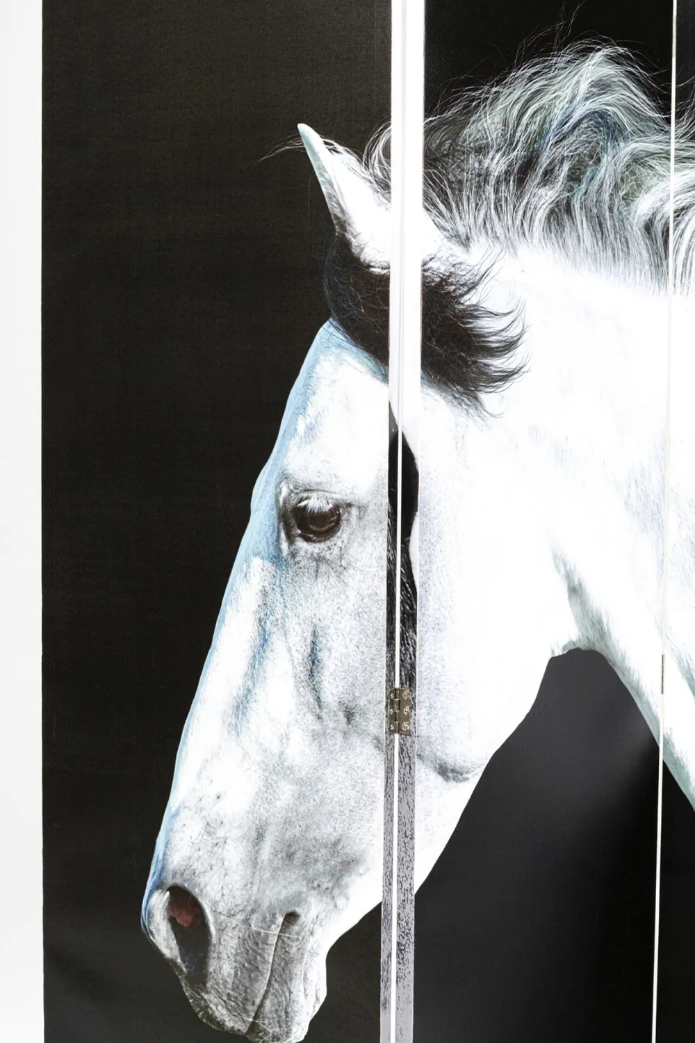 Parawany*KARE Design Parawan Beauty Horses 160x180 Cm