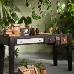 Rośliny Dekoracyjne*KARE Design Roślina Dekoracyjna Aloe 69 Cm