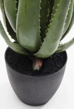 Rośliny Dekoracyjne*KARE Design Roślina Dekoracyjna Aloe 69 Cm