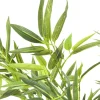 Rośliny Dekoracyjne*KARE Design Roślina Dekoracyjna Bamboo Tree 200 Cm