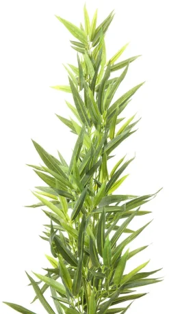 Rośliny Dekoracyjne*KARE Design Roślina Dekoracyjna Bamboo Tree 200 Cm