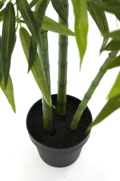 Rośliny Dekoracyjne*KARE Design Roślina Dekoracyjna Bamboo Tree 200 Cm