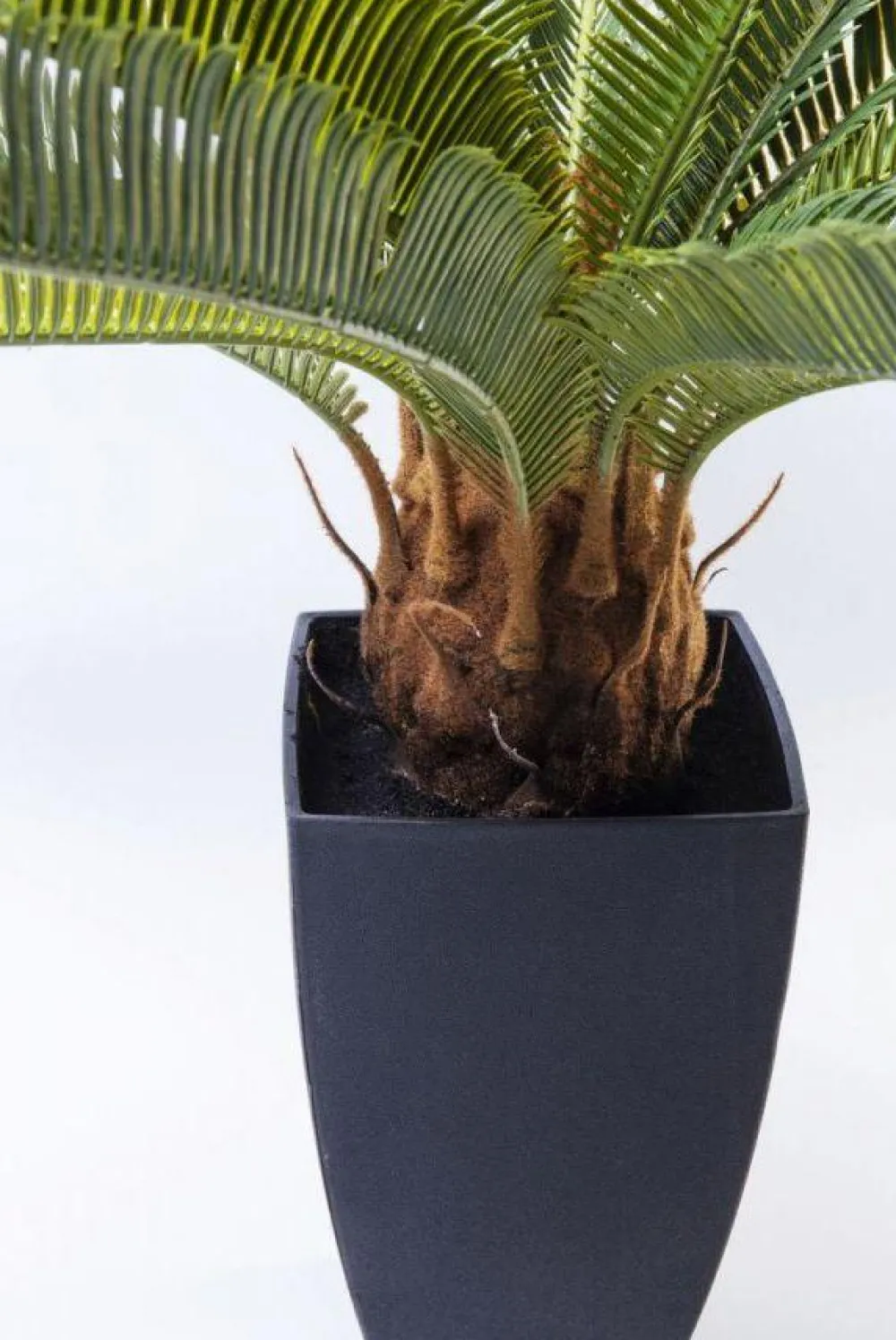 Rośliny Dekoracyjne*KARE Design Roślina Dekoracyjna Cycas Tree 40x78 Cm