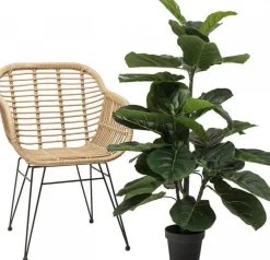 Rośliny Dekoracyjne*KARE Design Roślina Dekoracyjna Fiddle Leaf 120 Cm