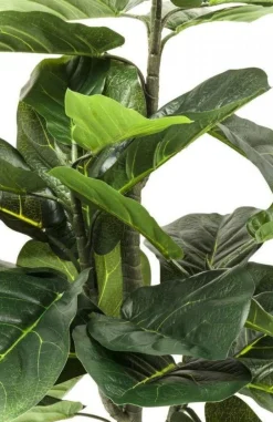 Rośliny Dekoracyjne*KARE Design Roślina Dekoracyjna Fiddle Leaf 120 Cm