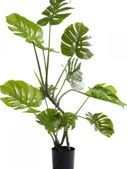 Rośliny Dekoracyjne*KARE Design Roślina Dekoracyjna Monstera 110 Cm