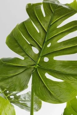 Rośliny Dekoracyjne*KARE Design Roślina Dekoracyjna Monstera 110 Cm