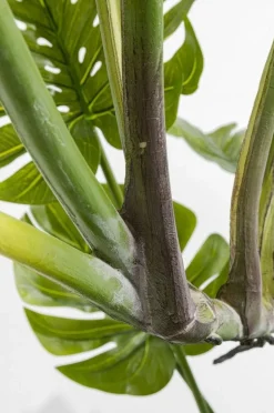 Rośliny Dekoracyjne*KARE Design Roślina Dekoracyjna Monstera 110 Cm