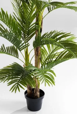 Rośliny Dekoracyjne*KARE Design Roślina Dekoracyjna Palm Tree 190 Cm