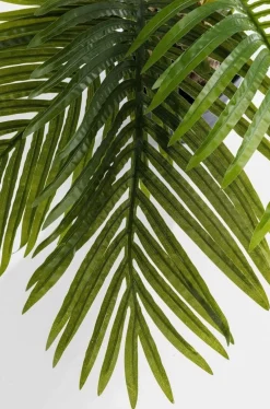 Rośliny Dekoracyjne*KARE Design Roślina Dekoracyjna Palm Tree 190 Cm