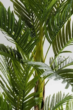 Rośliny Dekoracyjne*KARE Design Roślina Dekoracyjna Palm Tree 190 Cm