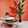 Rośliny Dekoracyjne*KARE Design Roślina Dekoracyjna Paradise Flowers 190 Cm