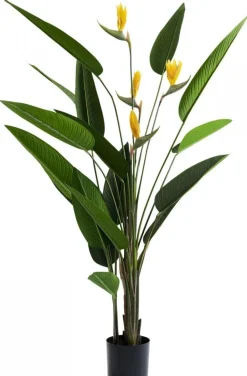 Rośliny Dekoracyjne*KARE Design Roślina Dekoracyjna Paradise Flowers 190 Cm