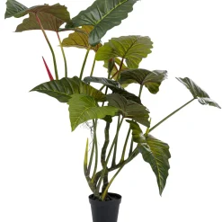 Rośliny Dekoracyjne*KARE Design Roślina Dekoracyjna Toro 180 Cm