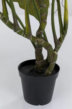 Rośliny Dekoracyjne*KARE Design Roślina Dekoracyjna Toro 180 Cm