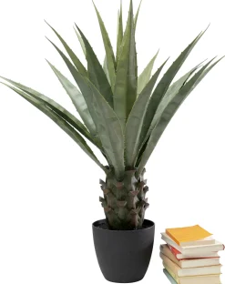 Rośliny Dekoracyjne*KARE Design Roślina Sztuczna Dekoracyjna Do Salonu Agawa 85 Cm