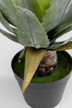 Rośliny Dekoracyjne*KARE Design Roślina Sztuczna Do Salonu Agawa 40 Cm
