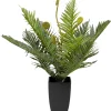 Rośliny Dekoracyjne*KARE Design Roślina Sztuczna Do Salonu Paproć 55 Cm