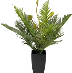 Rośliny Dekoracyjne*KARE Design Roślina Sztuczna Do Salonu Paproć 55 Cm