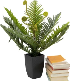 Rośliny Dekoracyjne*KARE Design Roślina Sztuczna Do Salonu Paproć 55 Cm