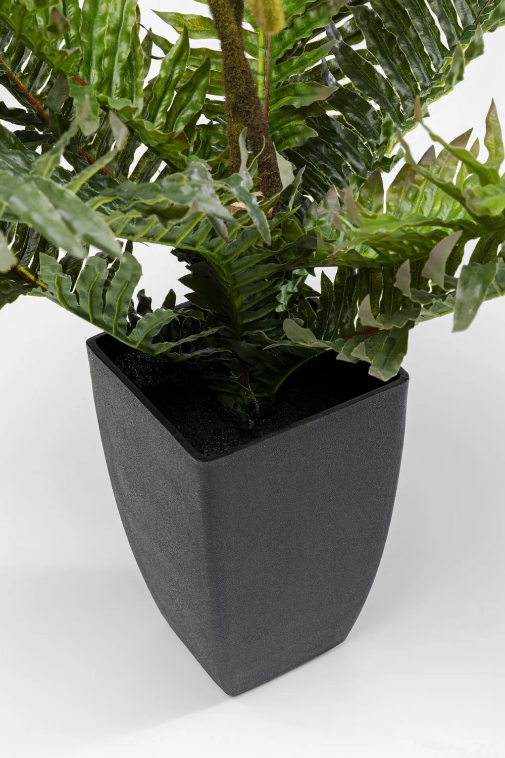 Rośliny Dekoracyjne*KARE Design Roślina Sztuczna Do Salonu Paproć 55 Cm