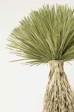 Rośliny Dekoracyjne*KARE Design Roślina Sztuczna Wysoka Yucca Rostrata 240 Cm