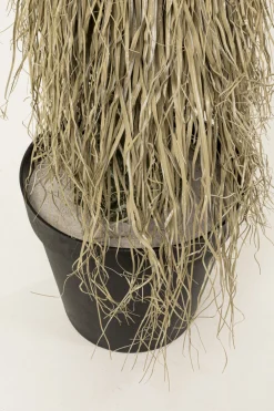 Rośliny Dekoracyjne*KARE Design Roślina Sztuczna Wysoka Yucca Rostrata 240 Cm