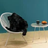 Stoliki Kawowe*KARE Design Stolik Kawowy Acapulco Ø50 Cm Biały - Blat Szklany