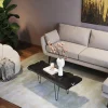 Stoliki Kawowe*KARE Design Stolik Kawowy Aspen 100x40 Cm Czarny