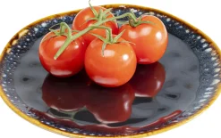 Zastawa Stołowa|Talerze*KARE Design Talerz Obiadowy Kamionkowy Ciemnoniebieski Ø26 Cm