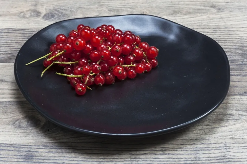 Zastawa Stołowa|Talerze*KARE Design Talerz Organic 20 Cm Czarny