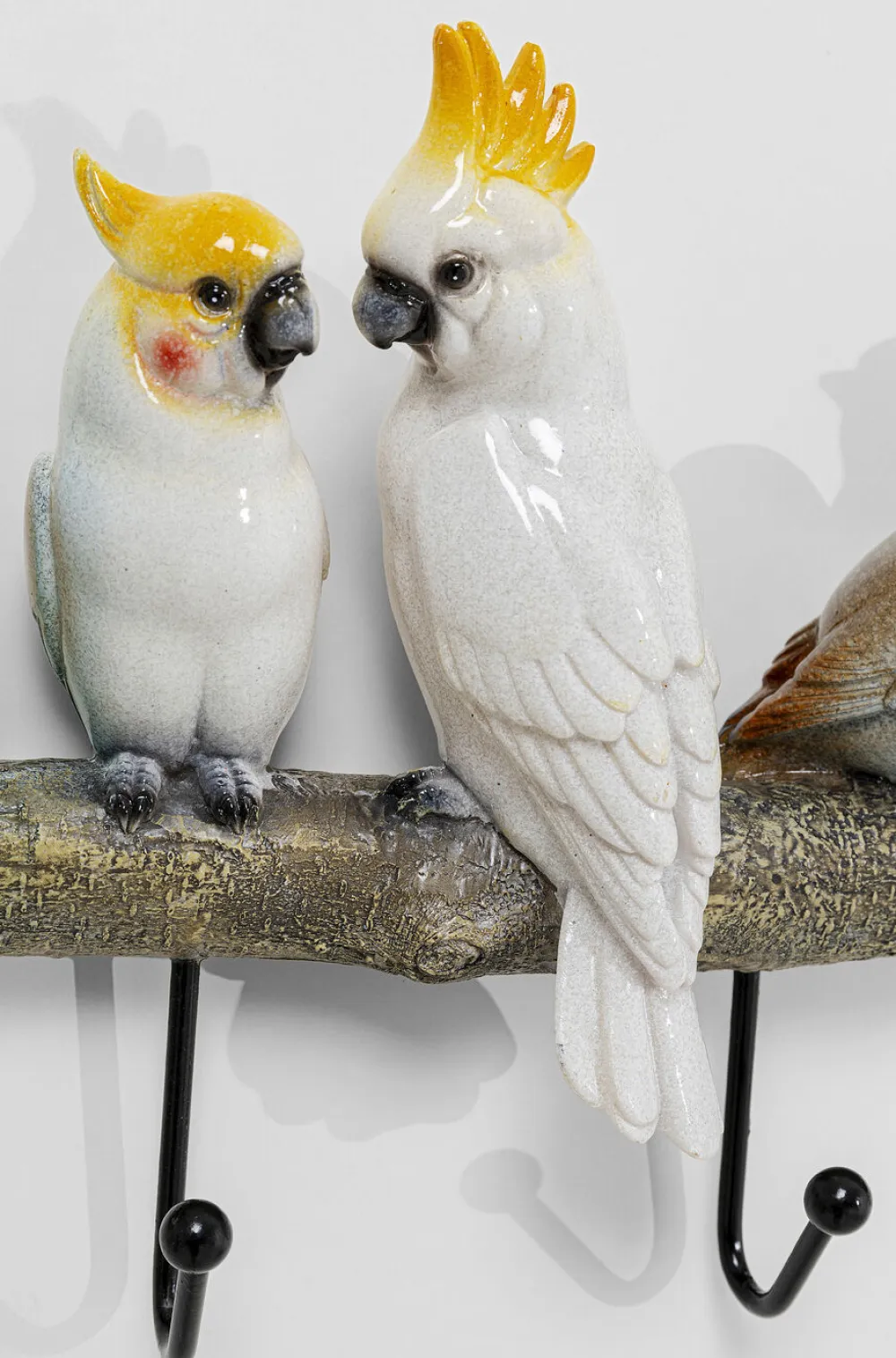 Wieszaki Ścienne*KARE Design Wieszak ścienny Exotic Birds 54x24 Cm Kolorowy