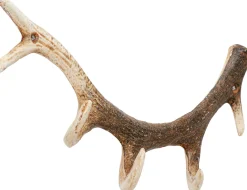 Wieszaki Ścienne*KARE Design Wieszak ścienny Stalowy Naturalny Poroże 35 Cm